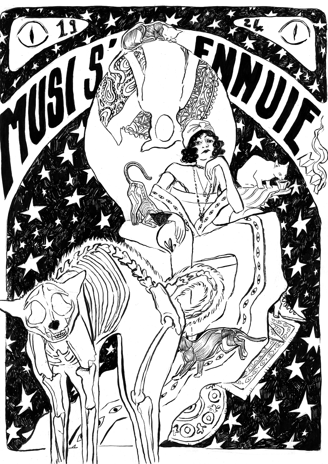 Affiche anatomie de chat