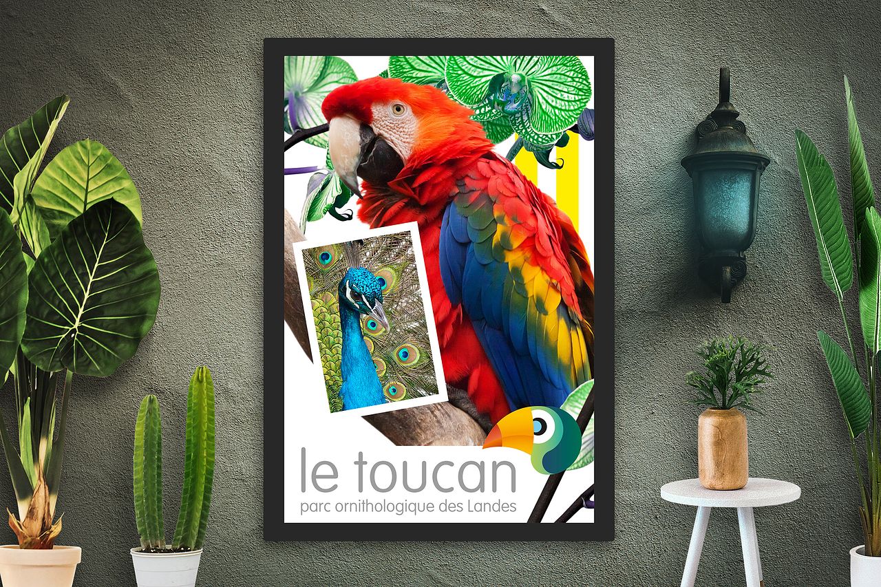 Affiche "Le Toucan"