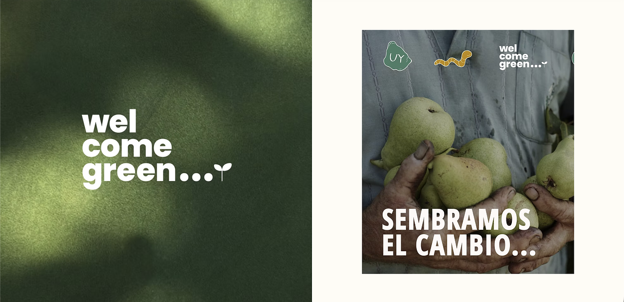 Welcome Green - Branding