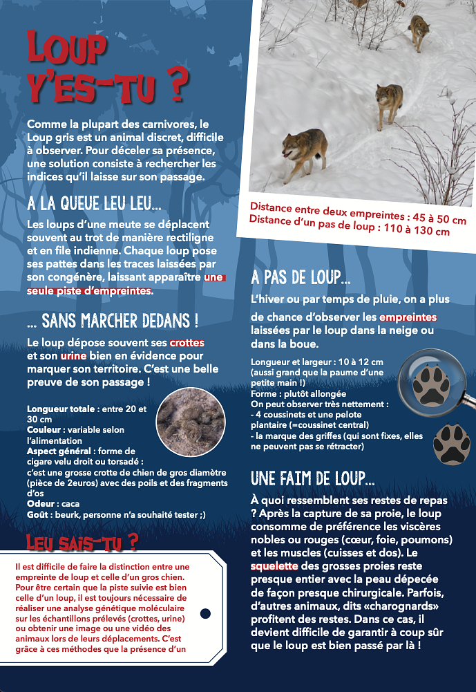 Exposition sur le retour du loup