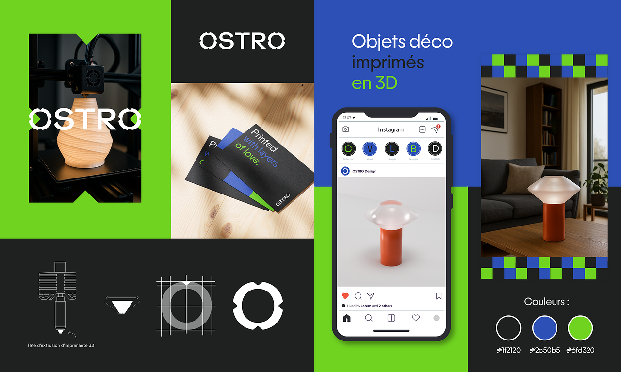 Logo et charte graphique OSTRO