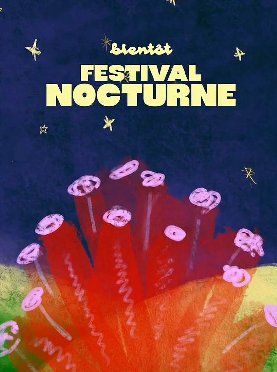 Festival Nocturne - déclinaisons insta