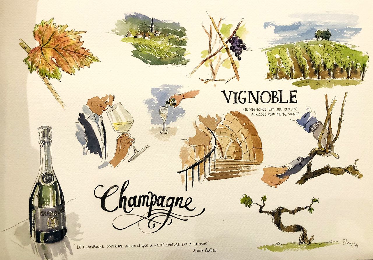 Planche aquarelle "le vignoble"