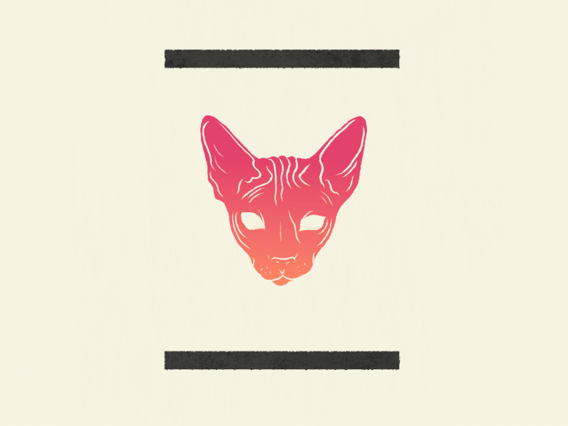 Motion design