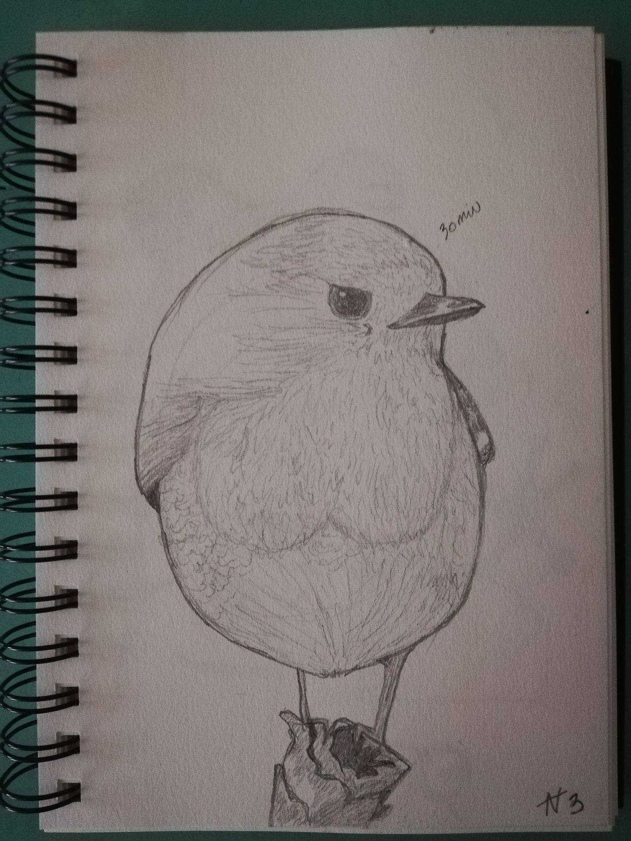 Croquis oiseau