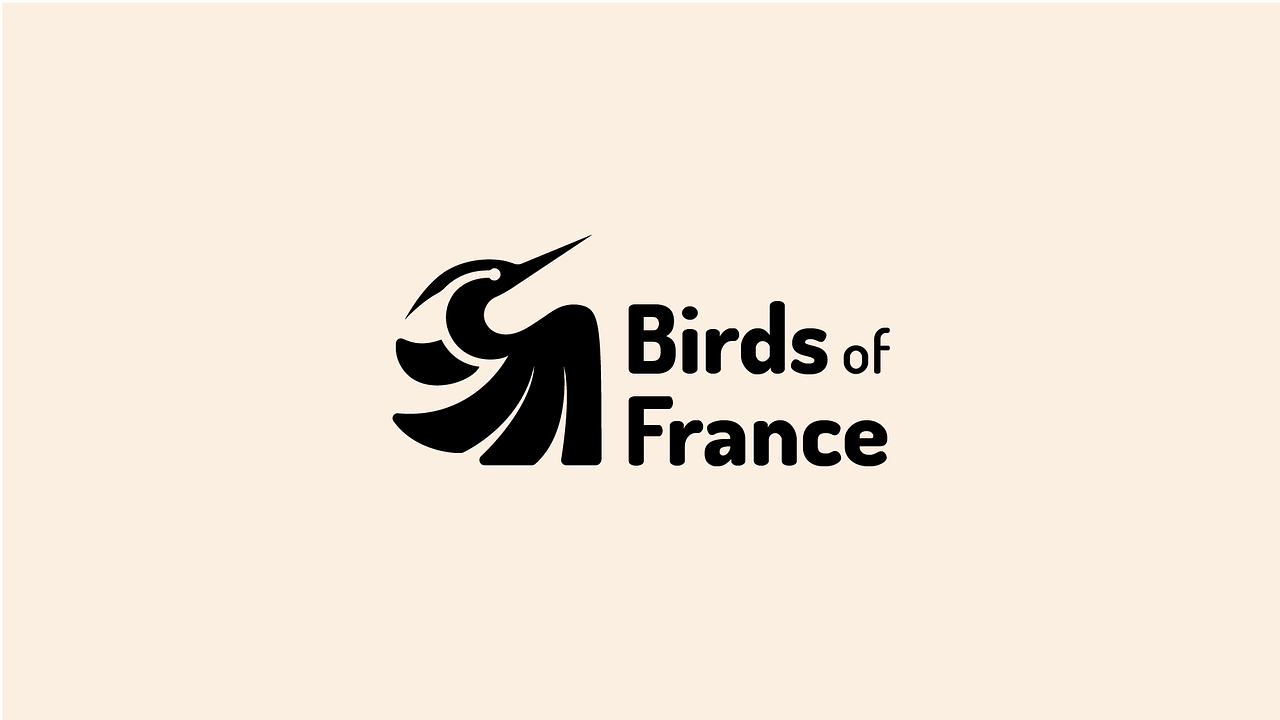 BIRDS OF FRANCE - LOGO