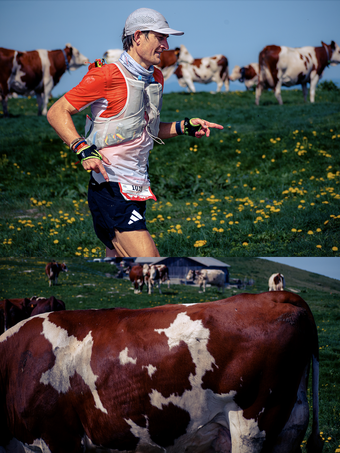 MAXI RACE - Cody Lind