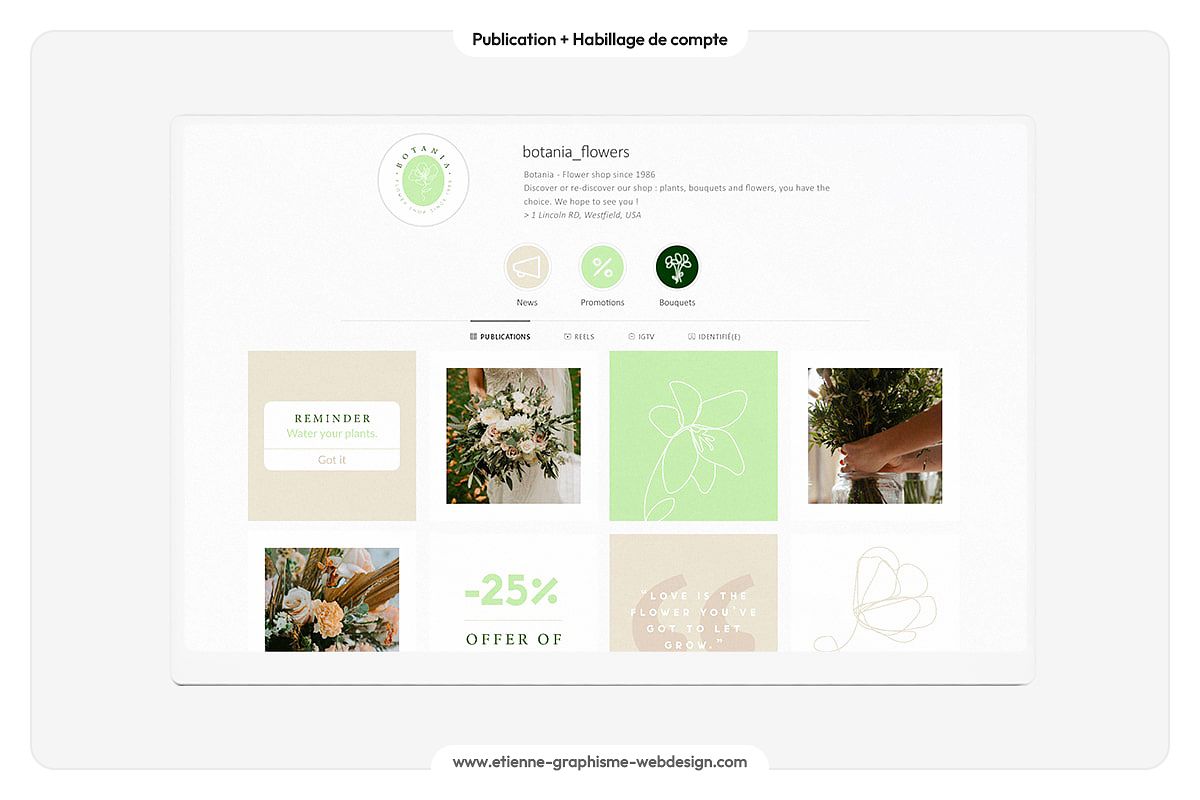 Botania | Publication + Habillage de compte