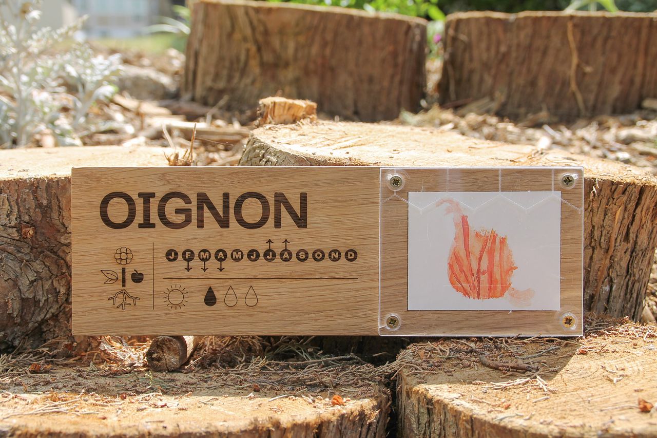 Dessine-moi un poireau