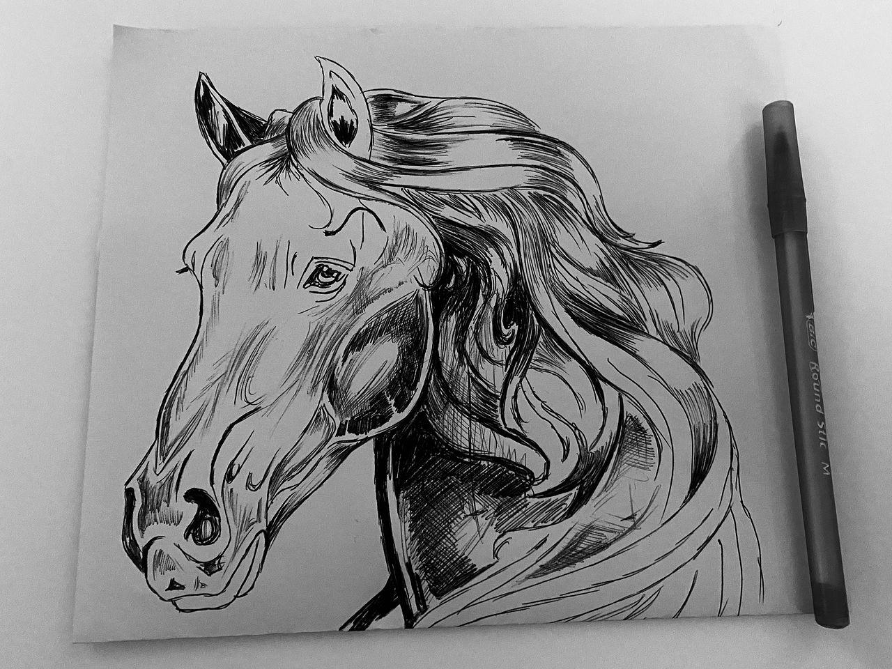 Dessin au bic / croquis