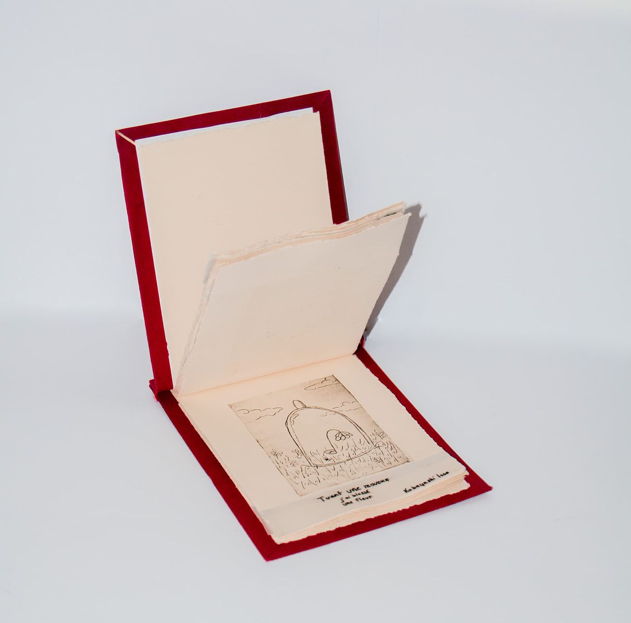 Livre de Haïkus