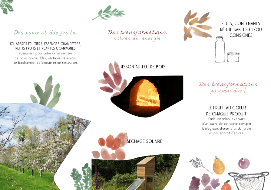 Plaquette - Production et transformaiton de fruits