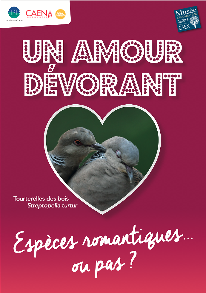 Exposition sur le romantisme chez les animaux