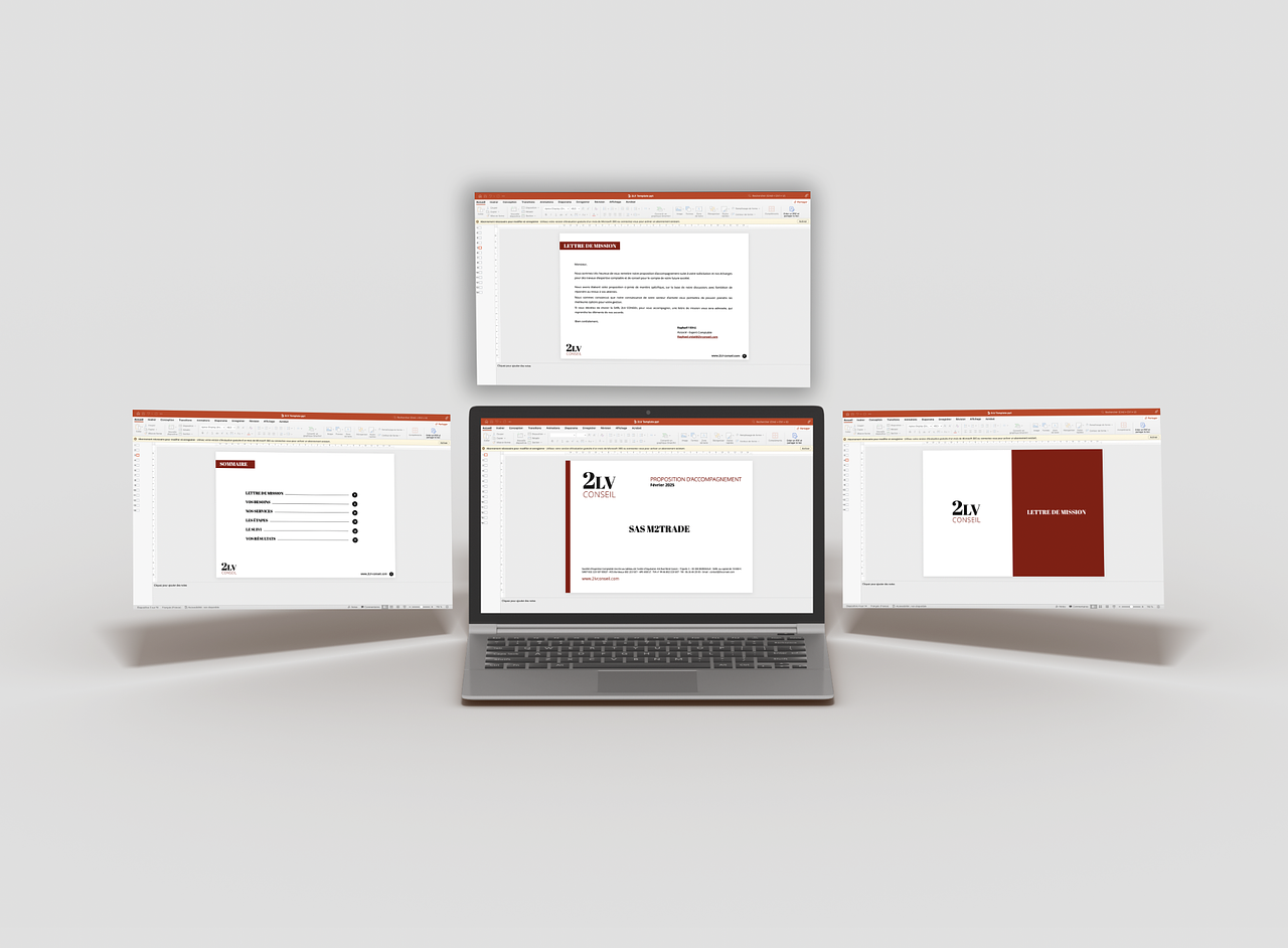 Presentation powertpoint 2LV Conseil