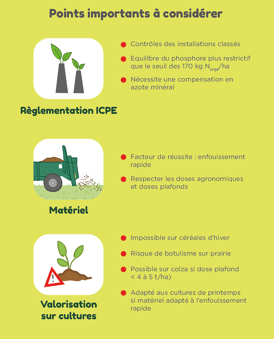 Infographie