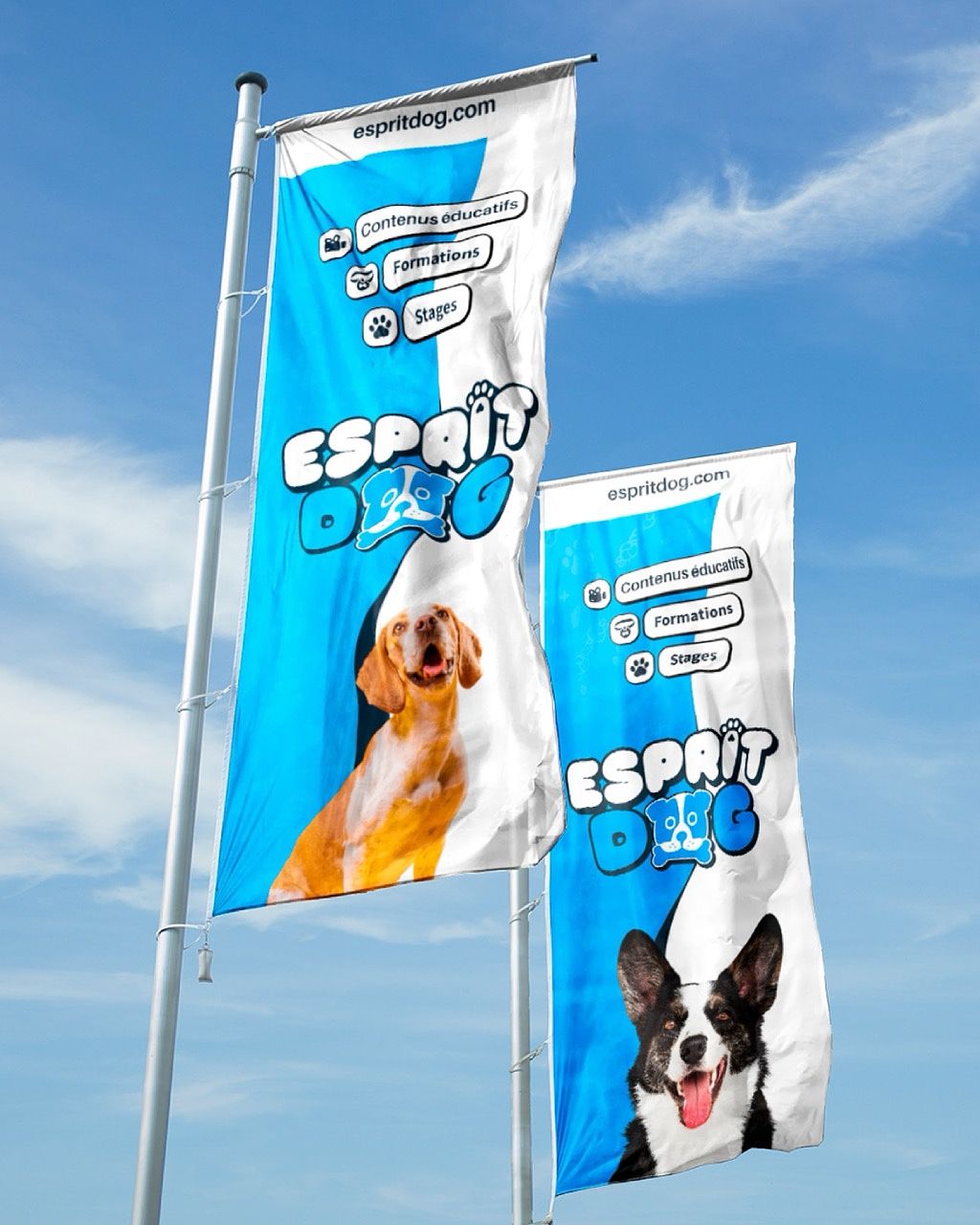 Esprit Dog
