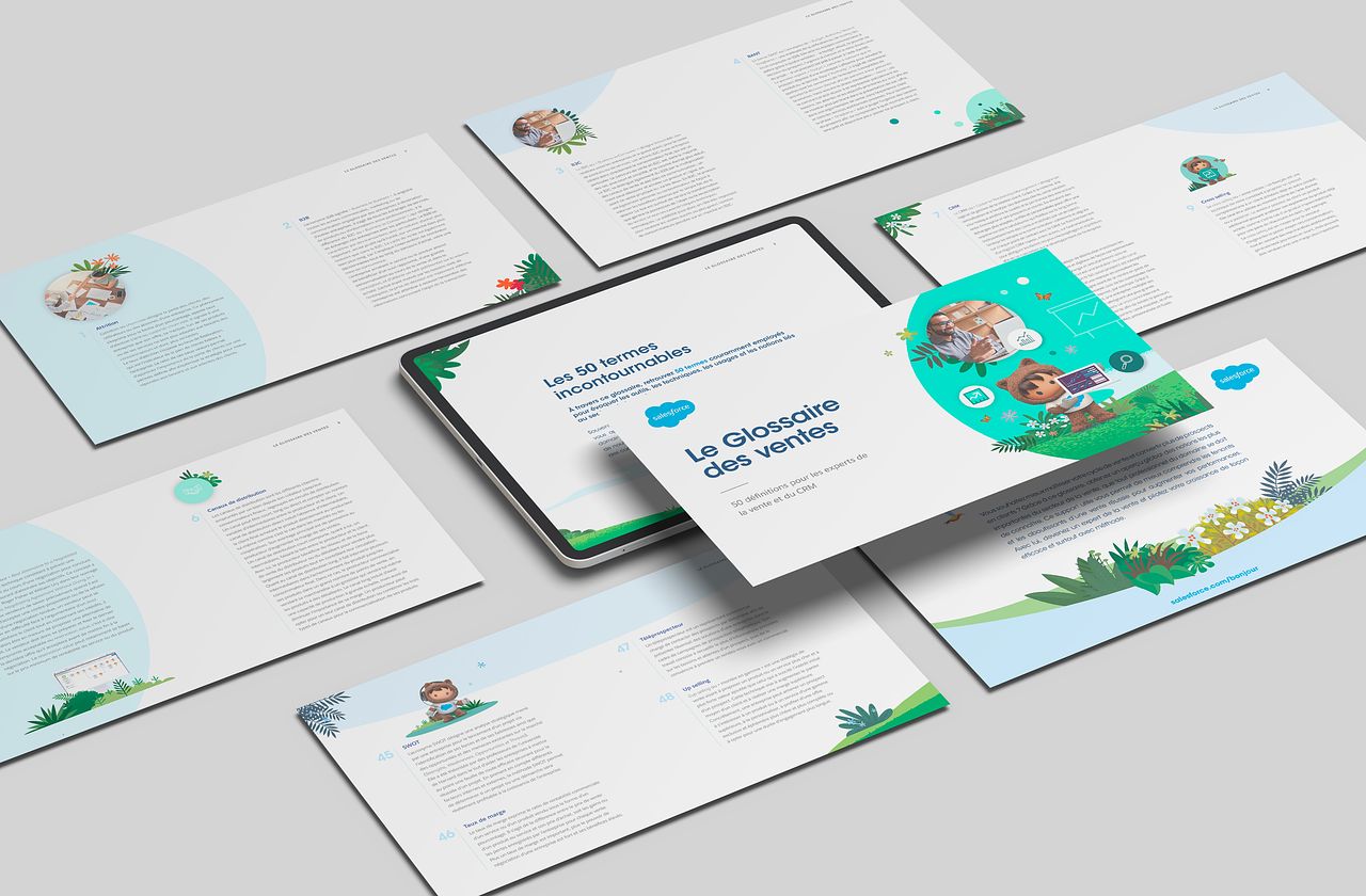 Glossaire Salesforce