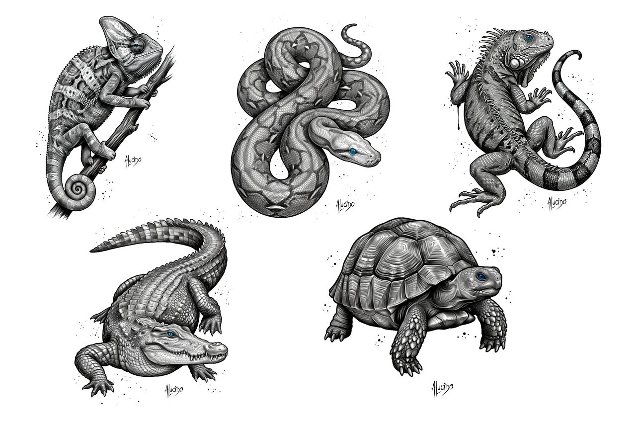 Dessins de reptiles