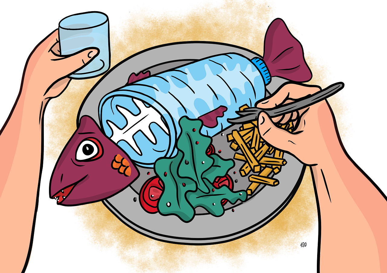 Illustration