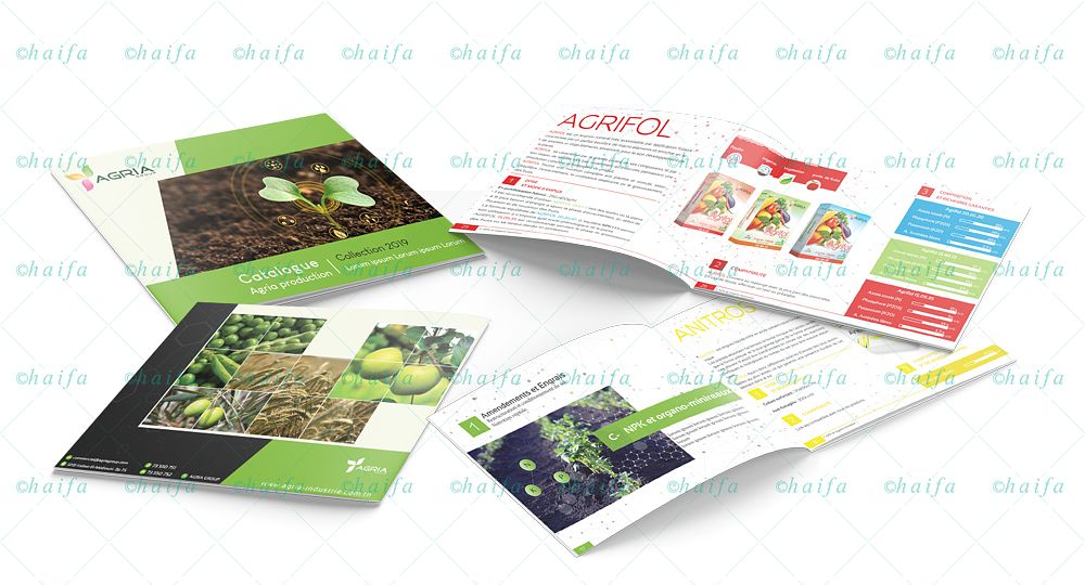 Catalogue
