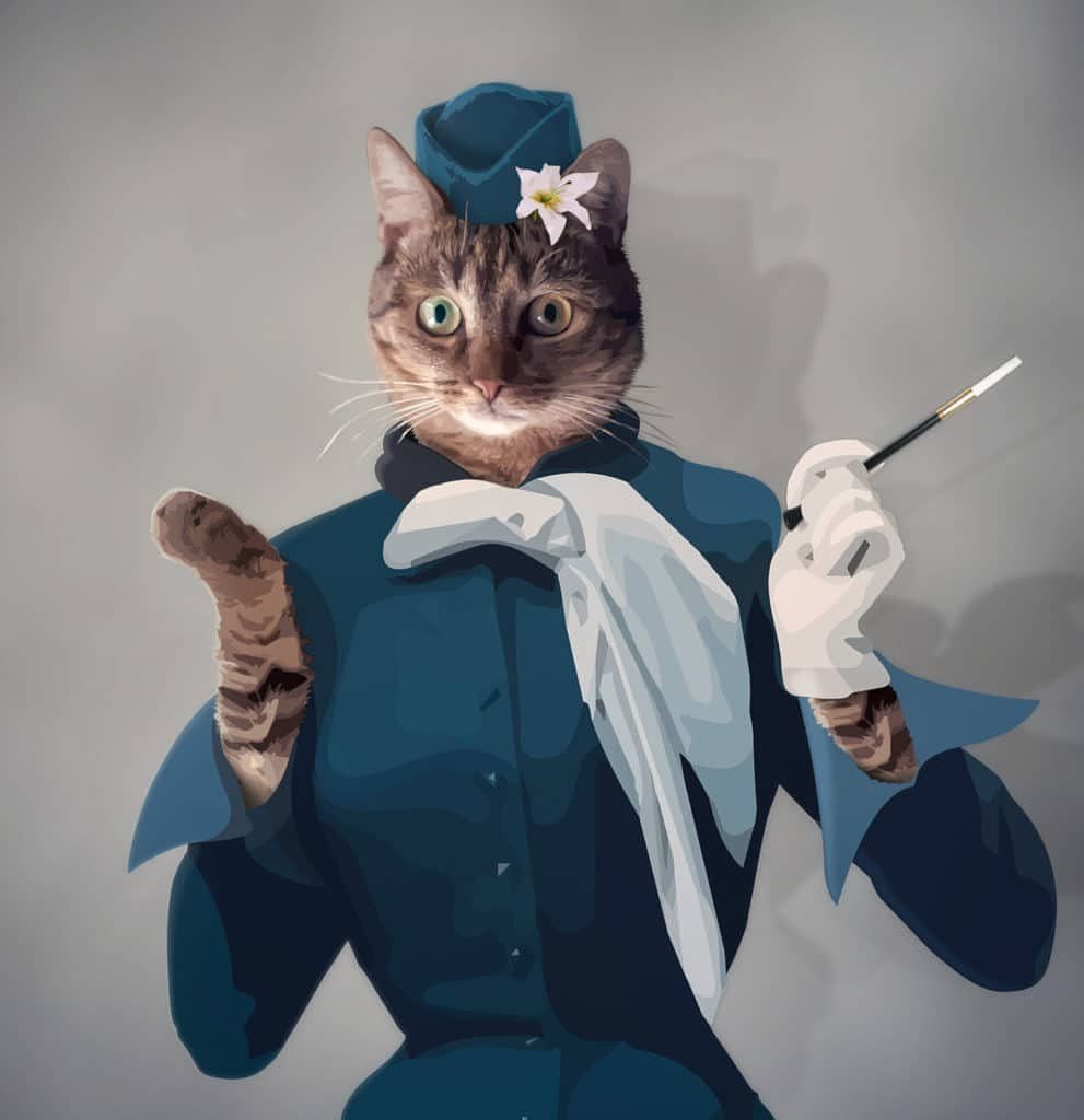 « Loli » - Portrait photo/graphisme de chat