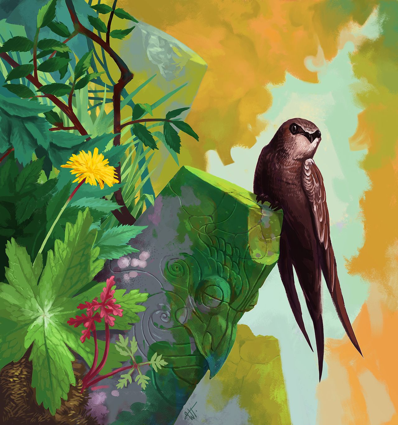 Bird