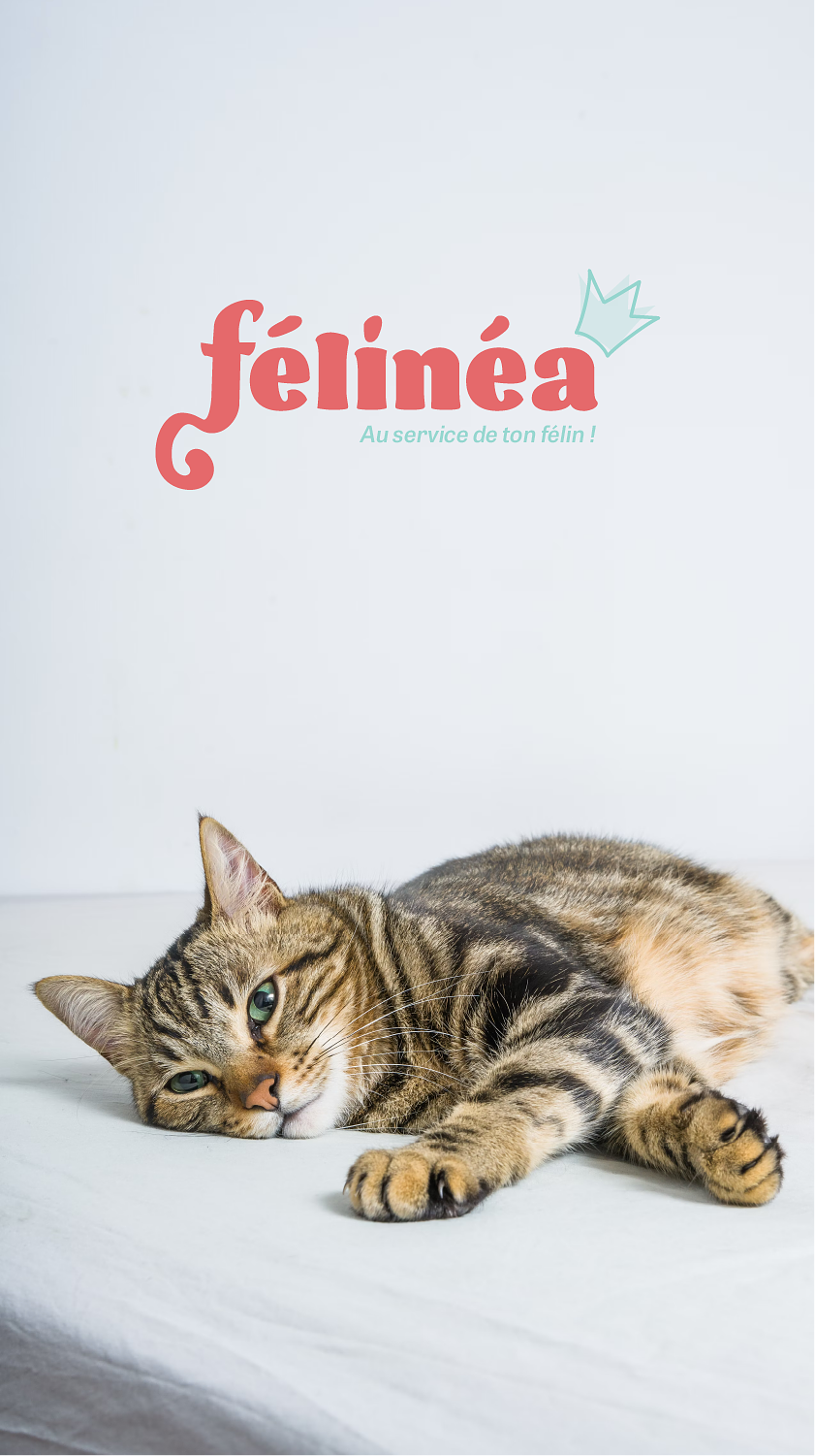 Félinéa