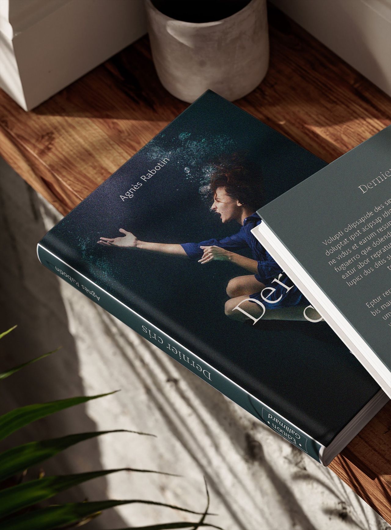 Couverture de livre
