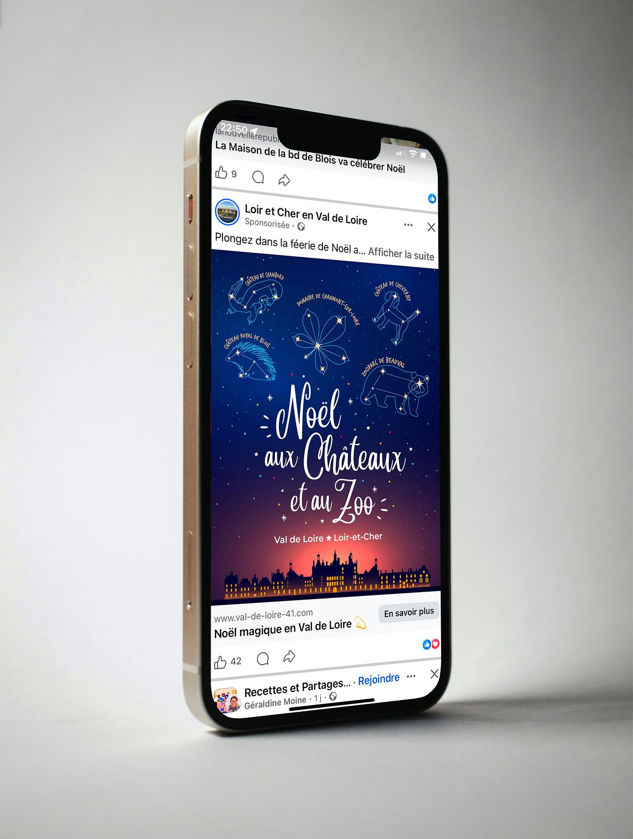 Campagne Noël aux Châteaux et au Zoo - réseaux soc