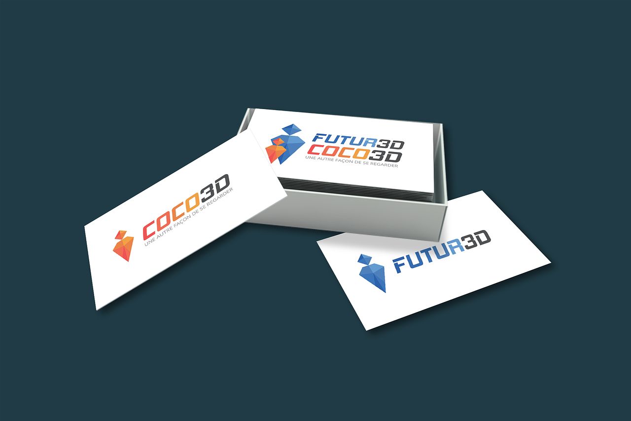 FUTUR3D + COCO3D