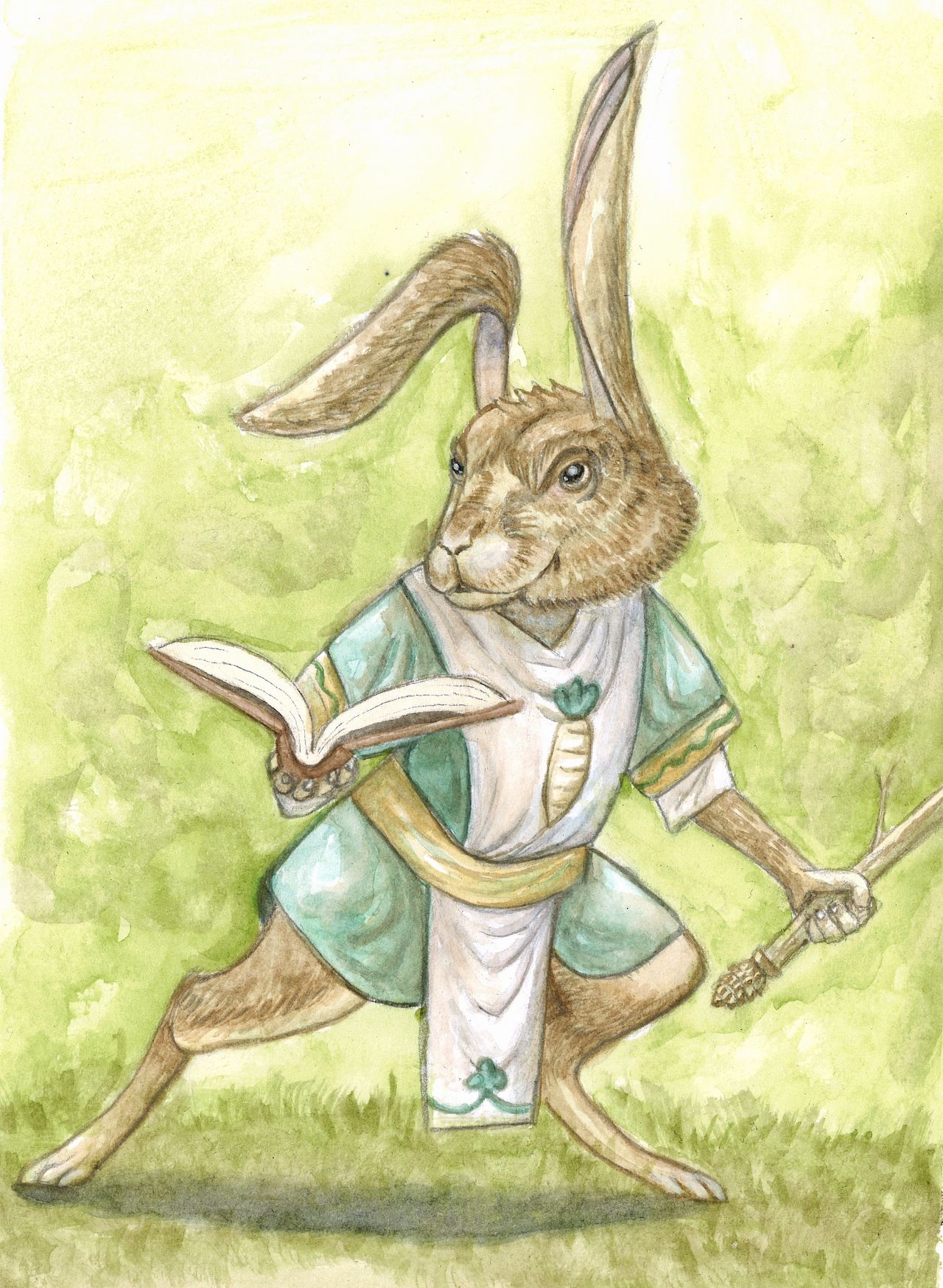 Lapin combattant
