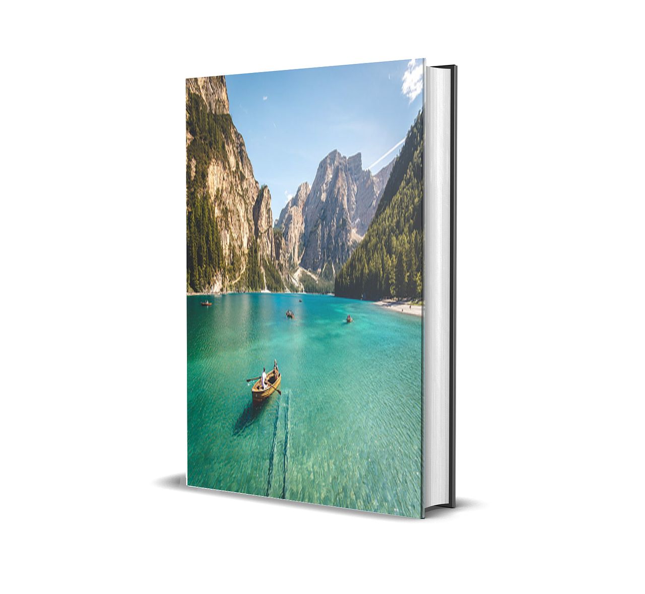 Couverture e-book (seul)