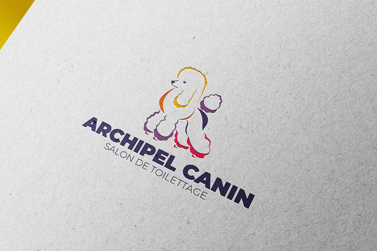 Identité visuelle – Archipel Canin
