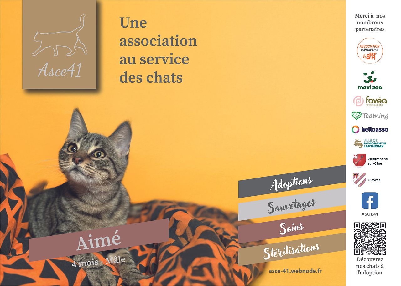 Affiche Association ACS41