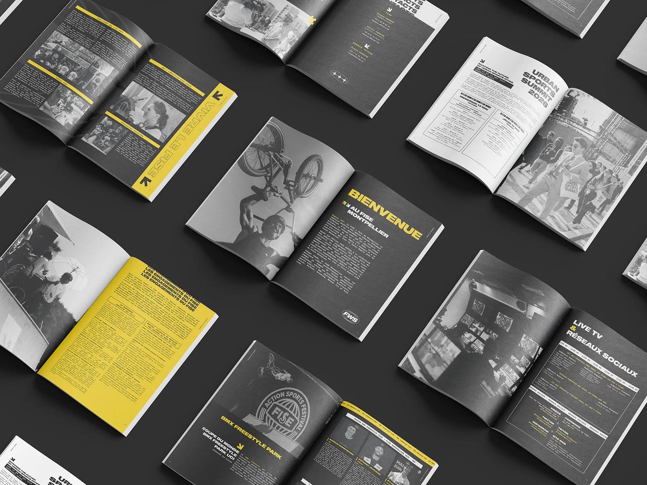 FISE – Dossier de presse