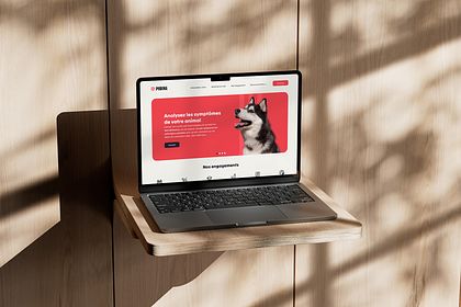 Site internet - Animaux