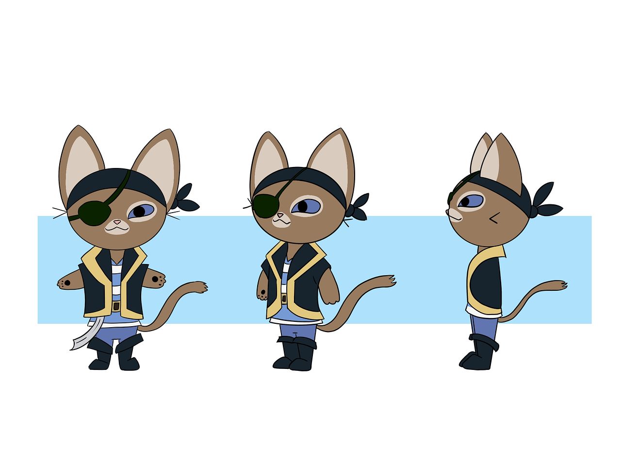 Choco le chat pirate