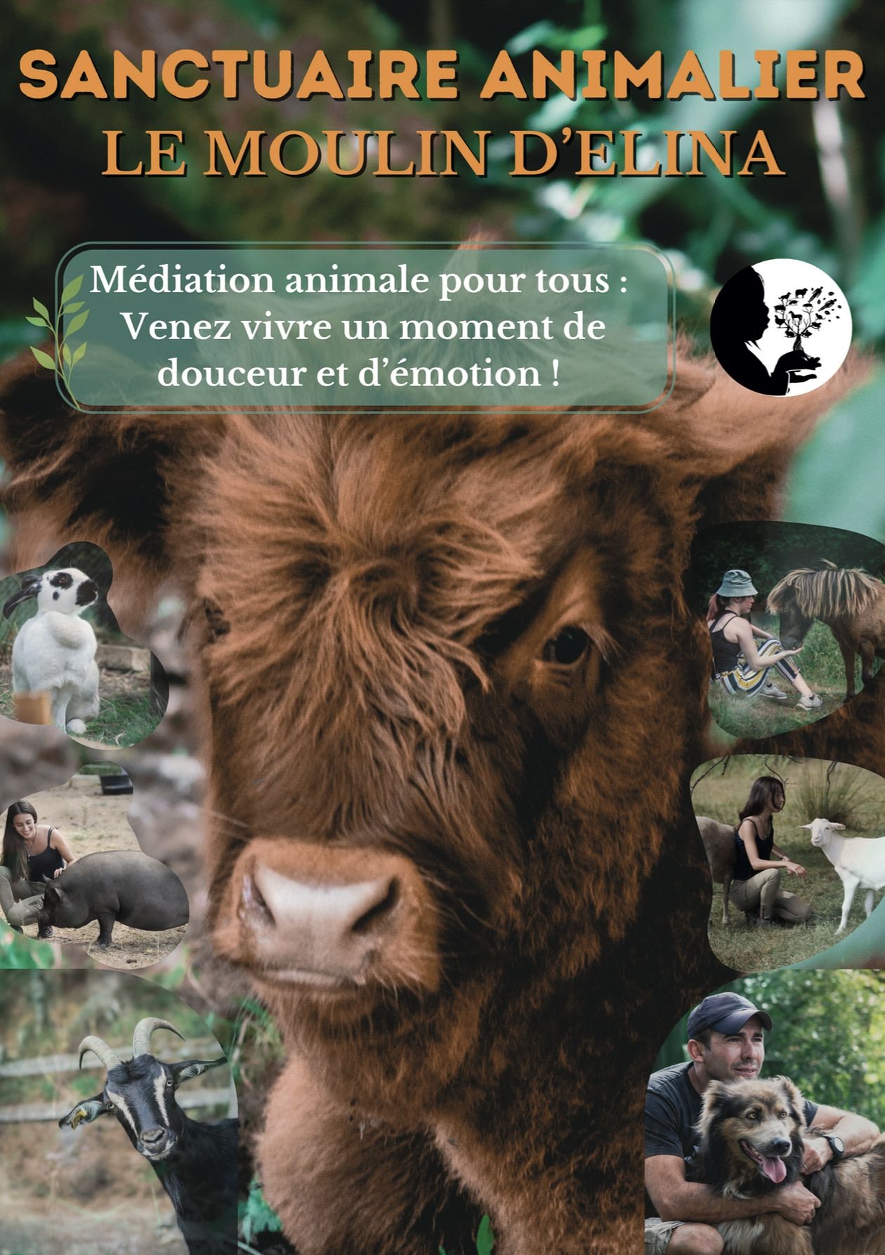 Présentation Sanctuaire Animalier