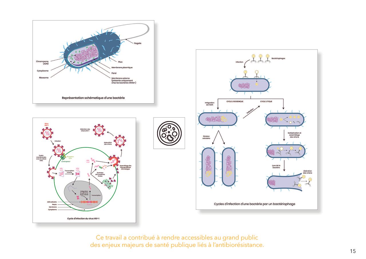 Illustrations scientifiques