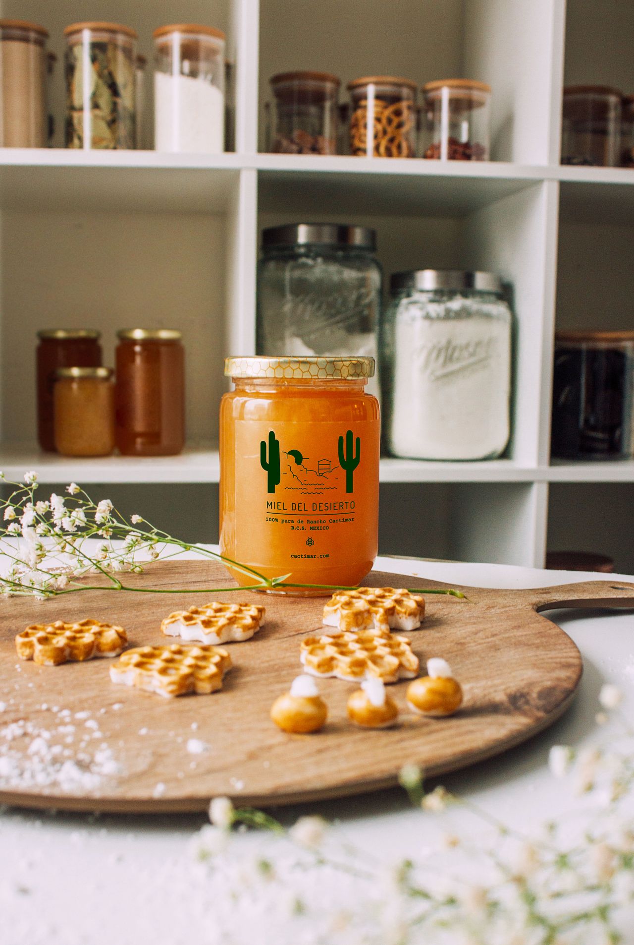 Projet / Rancho cactimar