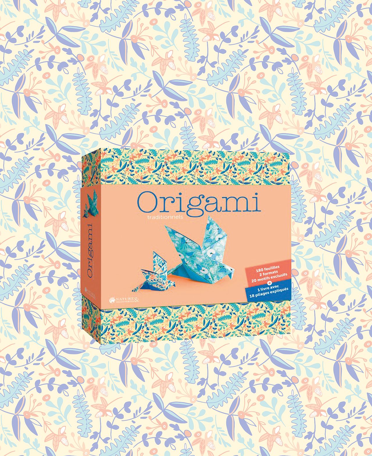Boîte origami nature & découvertes