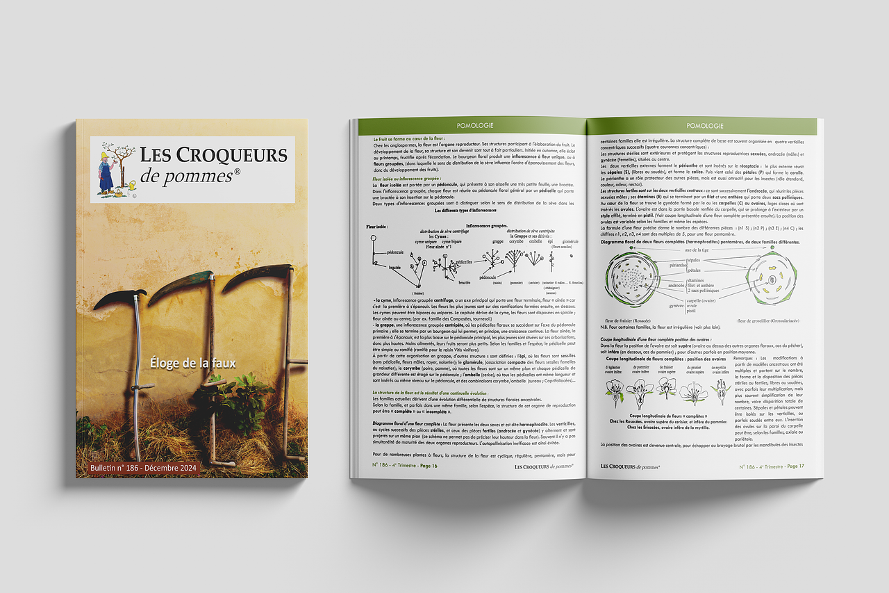 Bulletin de l'association des Croqueurs de Pommes