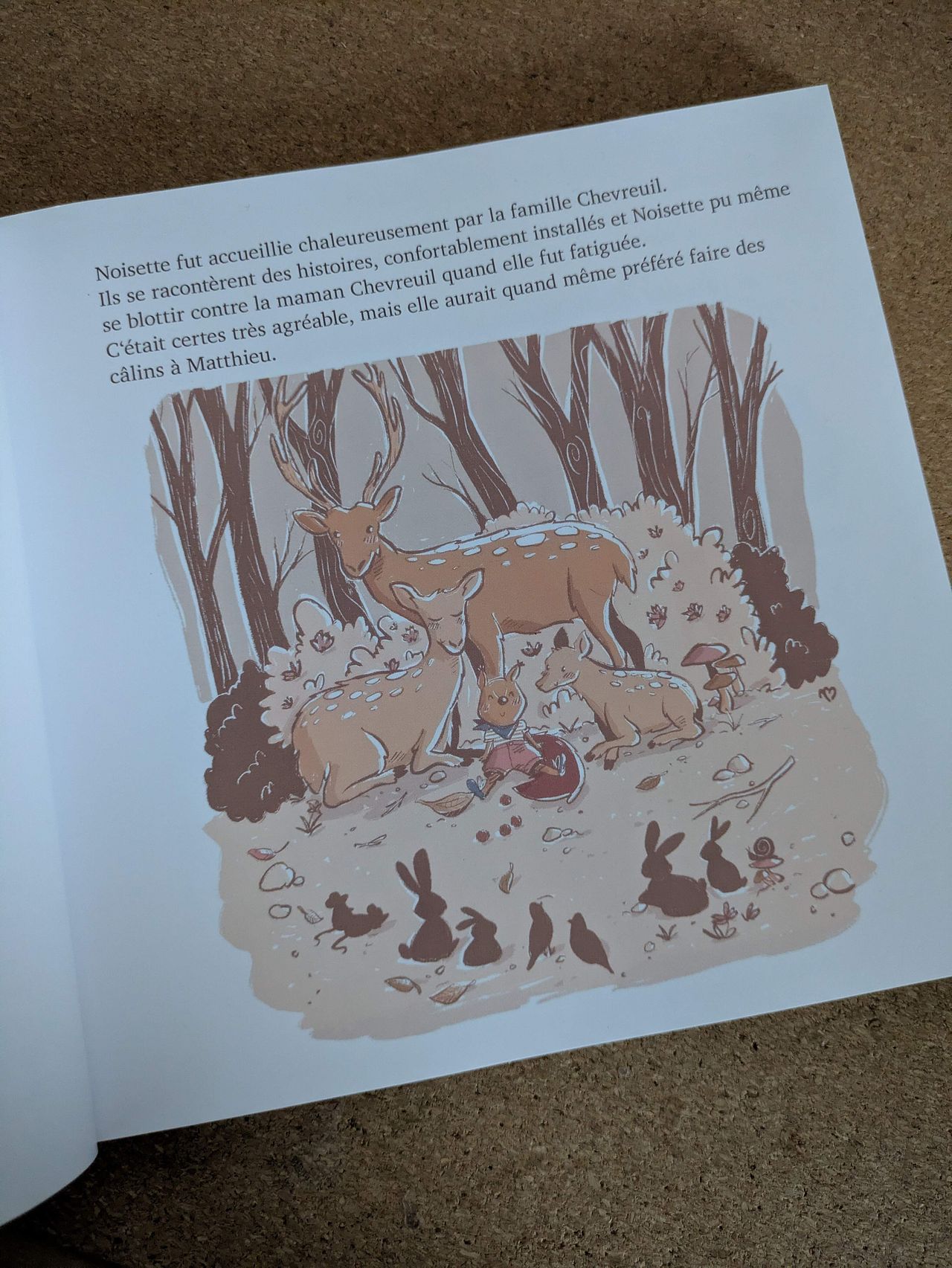 Illustration page Les incroyables aventures