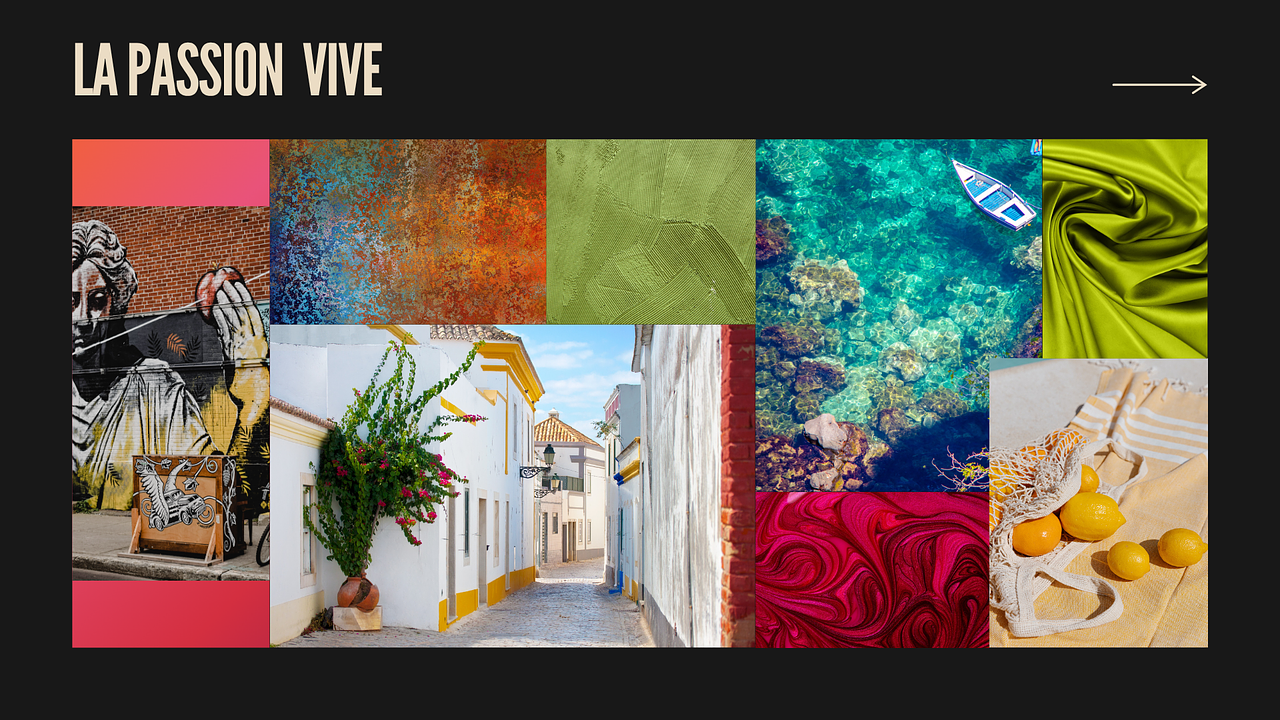Mon univers graphique 3 : La passion vive