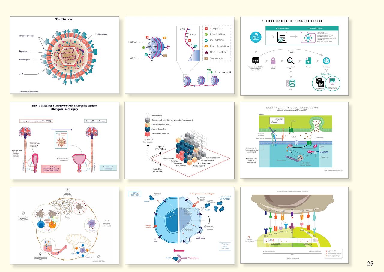 Illustrations scientifiques