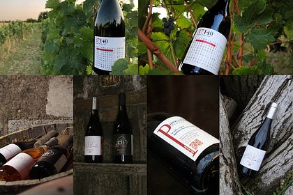 Conception d'étiquettes de vin