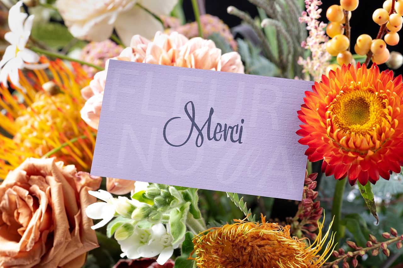 Projet Fleur Nova