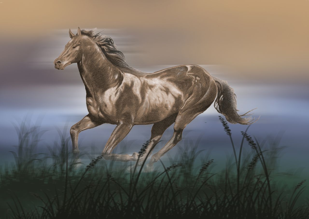 Mustang