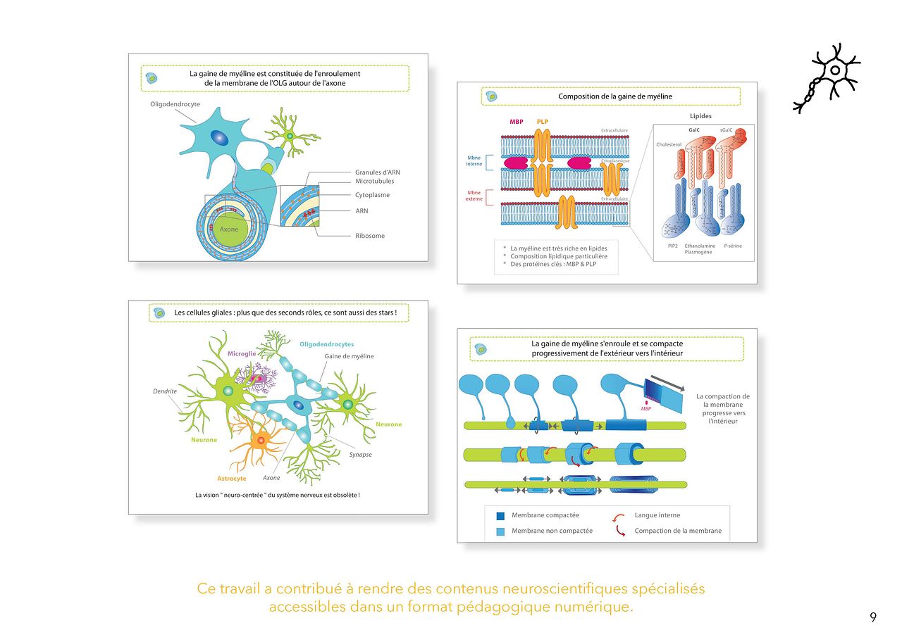 Illustrations & design scientifique MOOC