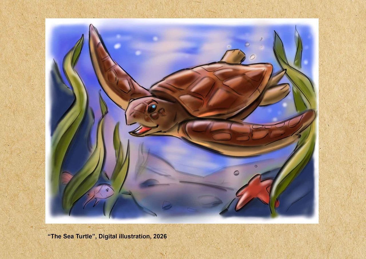 Tortue Marine